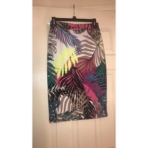 Multicolor Pencil Skirt